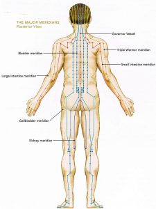 back acupuncture meridian chart